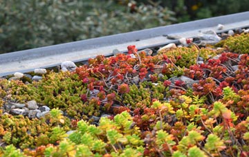 the cost of Three Legged Cross green roof installation