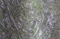 Three Legged Cross fibreglass roof work